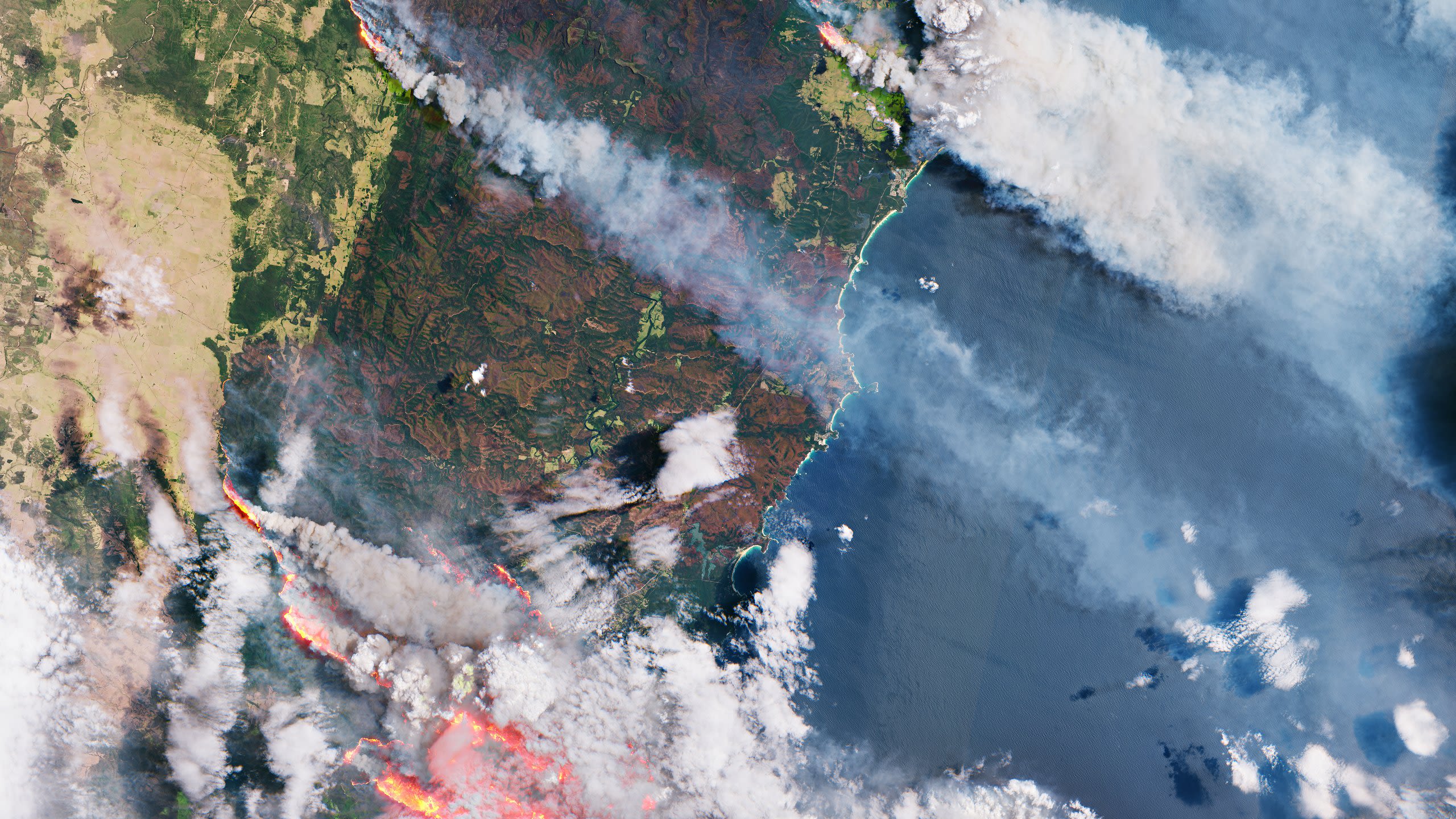 2020 Australian bushfires on the south-east coast near Nowra. (European Space Agency)