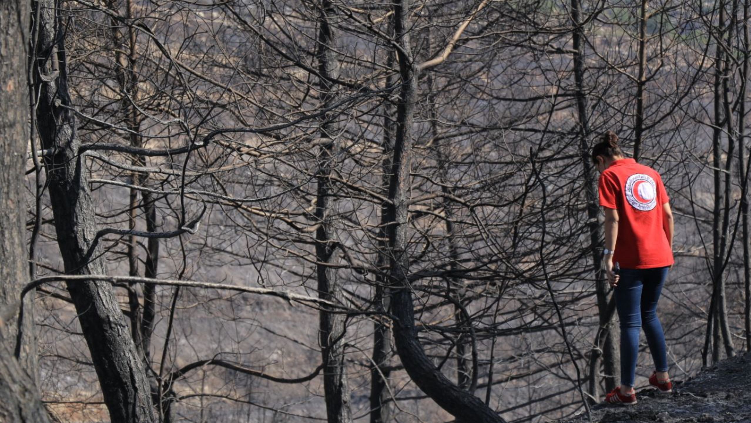 A Red Crescent volunteer assesses damage after huge wildfires in western Syria blamed on unusually intense heat for October and strong winds. (Syrian Arab Red Crescent)