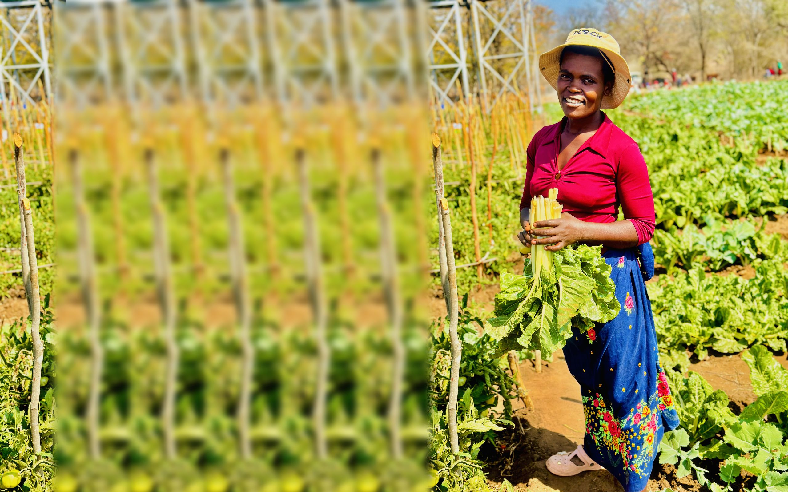 Patience Makuya on her vegetable plot in a garden made possible by a Zimbabwe Red Cross solar-powered water system supported by the IFRC.