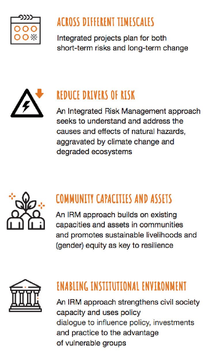 Core principles of Integrated Risk Management